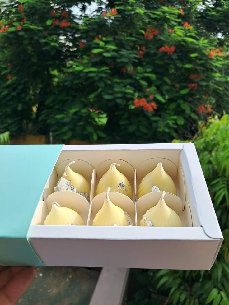 modak candles